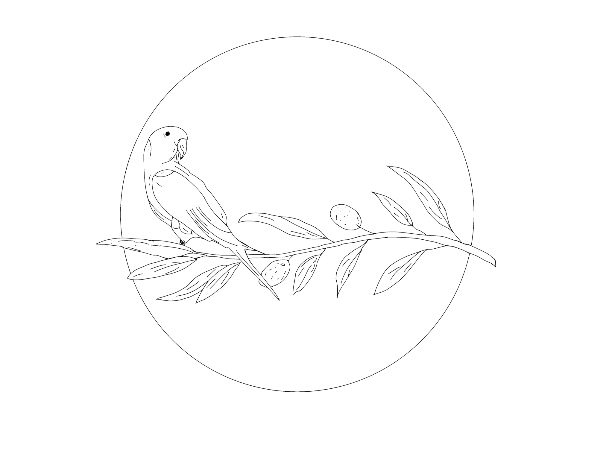 Kertész tájékoztató